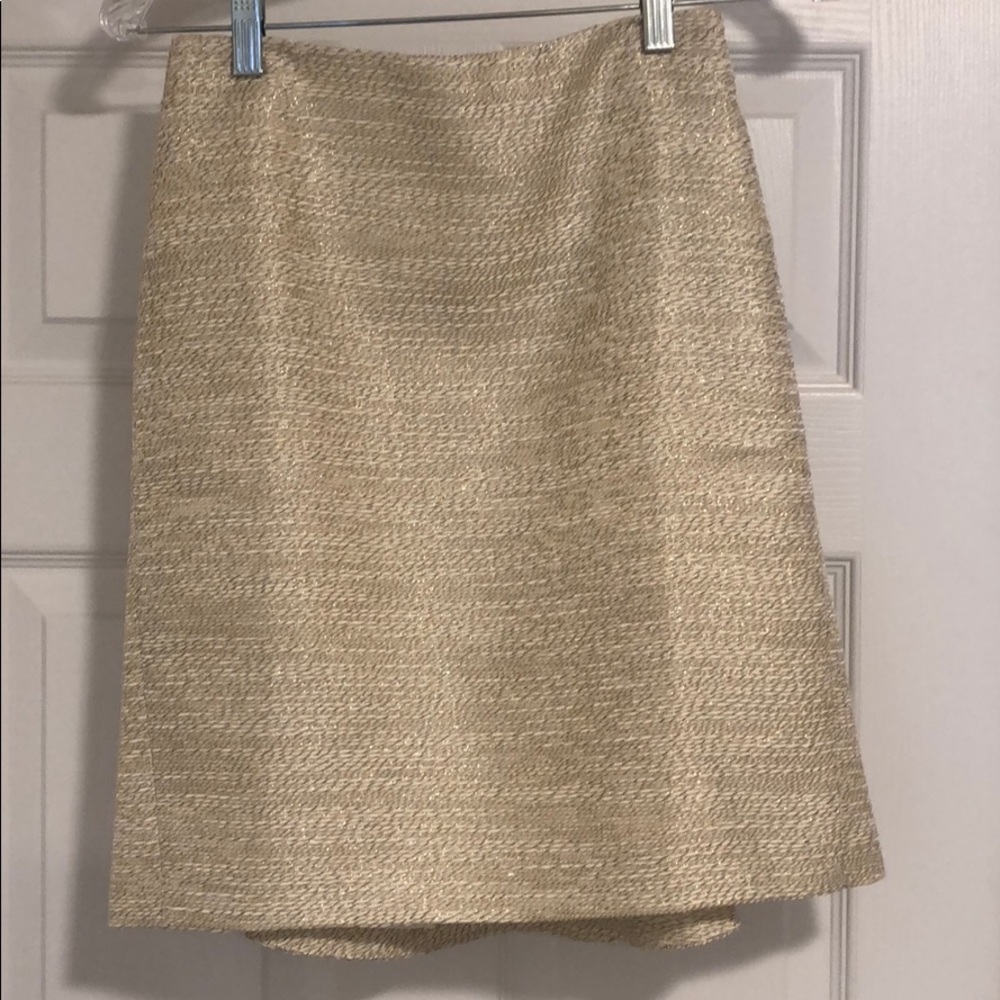Brand New Ann Taylor Skirt